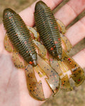 PUMPKIN FIRE 4" Flippen Flapper (4 Pack)
